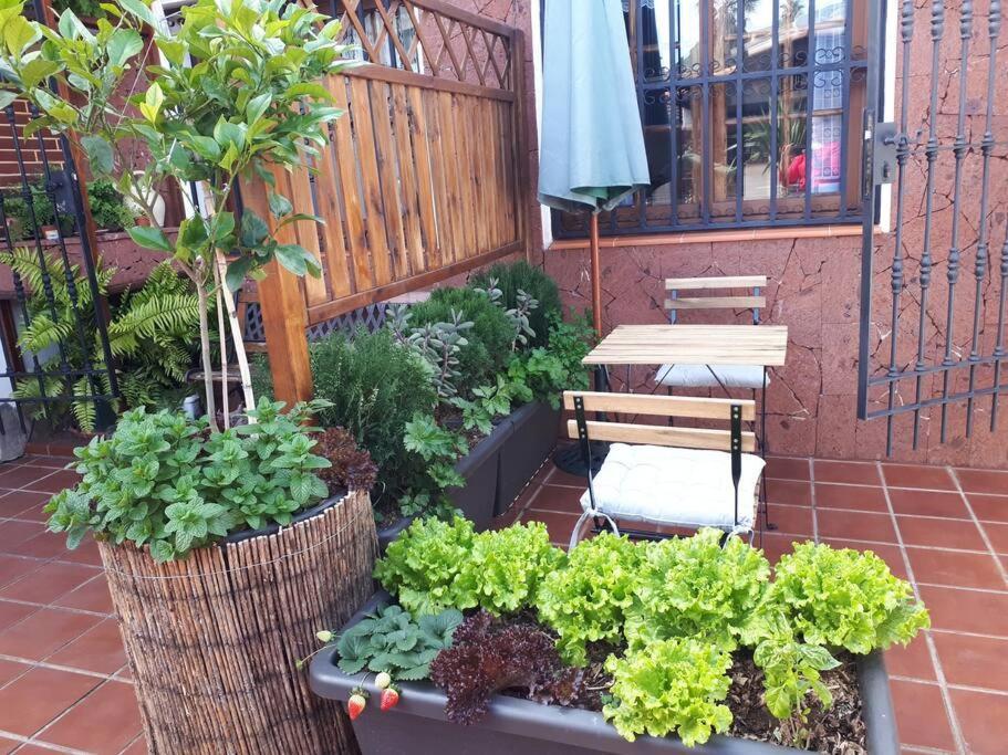Apartamento Tranquilo En Una Casa Con Jardin Las Lagunas Exterior photo